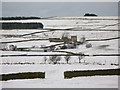 NY8555 : Snowy pastures above Shieldburn Hall by Mike Quinn