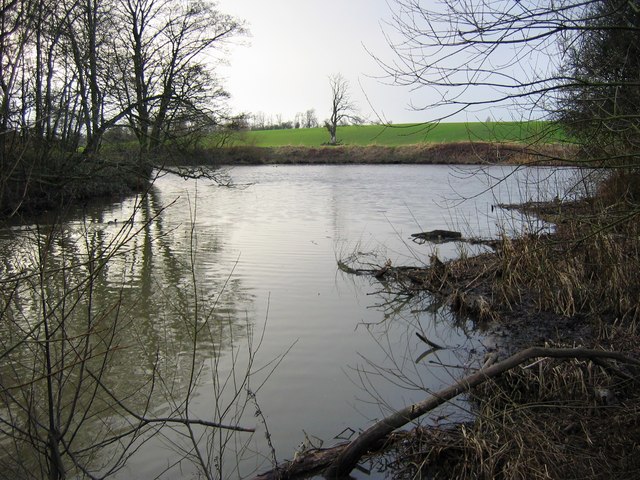 The confluence of the Leven and the Tees