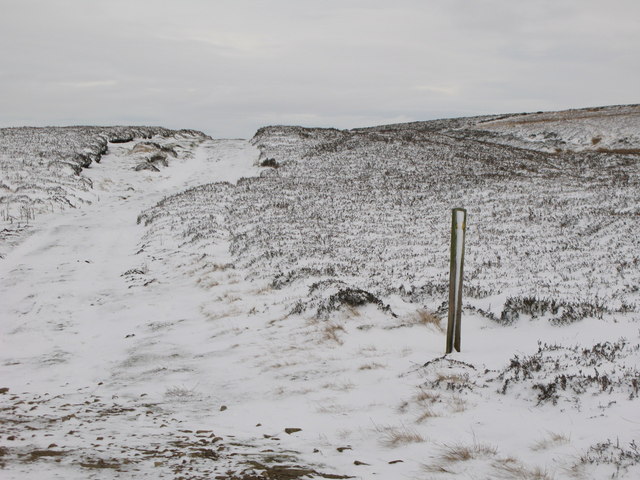 Snowy track on Burntridge Moor