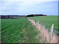 Bridleway to Barwick Farm