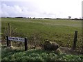 Ballyhemlin Townland