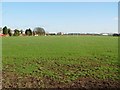 TA0832 : Oak Road Playing Fields, Hull by Peter Church