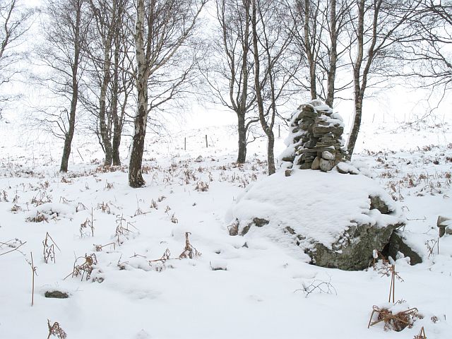 Cairn at the top of the woods