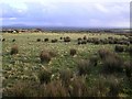 Urbalreagh Townland