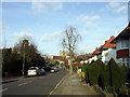 Looking down Hoop Lane