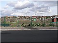 West Southbourne: allotments