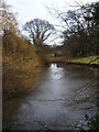 Pond by the lane to Aymers