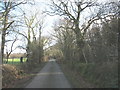 The Llwyndyrys road near Bryn Marchog