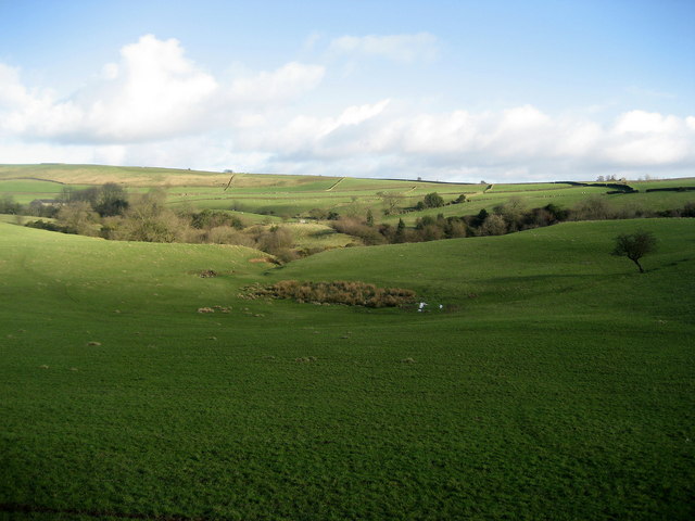 Pastures on Silsden Moor