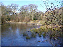 TQ1256 : Pond on Great Bookham Common by Colin Smith