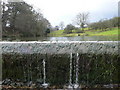 Overflowing pond at Plas Einion