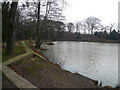 Ringwood Lake - View across North End