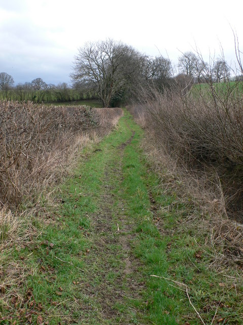 Bridleway between Plas Einion and the A525