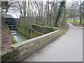 Ringwood Park - Footpath to Lake