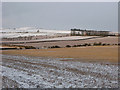 A winter stubble field