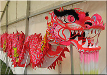 NT4936 : The Chinese Dragon Festival dragon by Walter Baxter