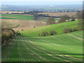 Ewelme Downs