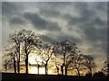 Beeches, Nuffield Hill