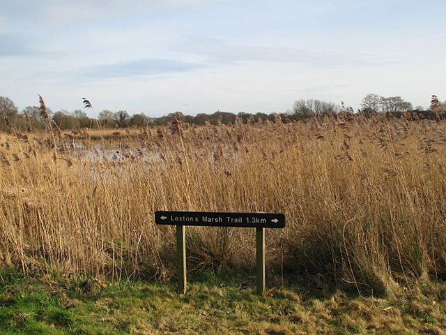 Loxton's Marsh Trail