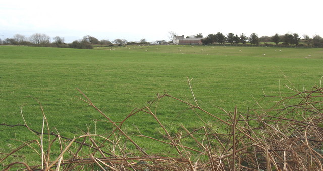 Pasture land extending in the direction of Tuhwnt-i'r-gors farmhouse