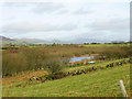 Lake below  Rhos y Foel