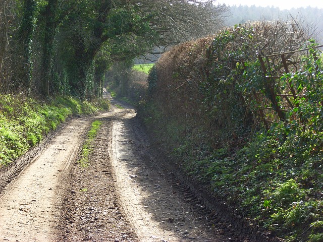 A bridleway, Bradfield