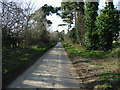 Lane near Updown Farm