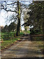 Looking NE along the road from Updown House