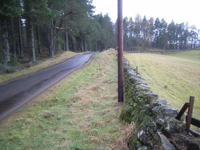 Country Lane in Pearsie