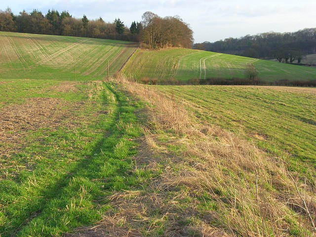 Field margins, Ashampstead