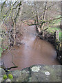 Garren Brook - upstream from the bridge