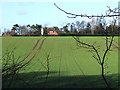 Crop Field  west of Wombourne, Staffordshire