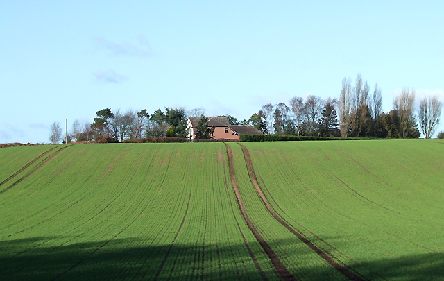 Crop Field  west of Wombourne, Staffordshire