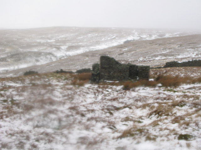 Ruin on Sedling Fell