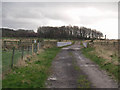 Farm track and bridge