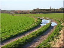 SU5487 : Farmland, Blewbury by Andrew Smith