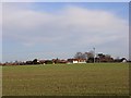 Farmland, South Moreton