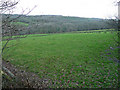 View over Greylake valley