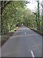 Looking E along a tree lined road towards Northbourne