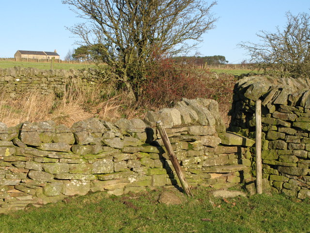 Stone stile in wall below Half Acres