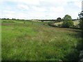 Farmland at Llansadwrn