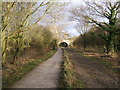 The Wirral Way, near Willaston