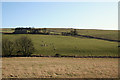 North Upperbrae Farm viewed from the nor