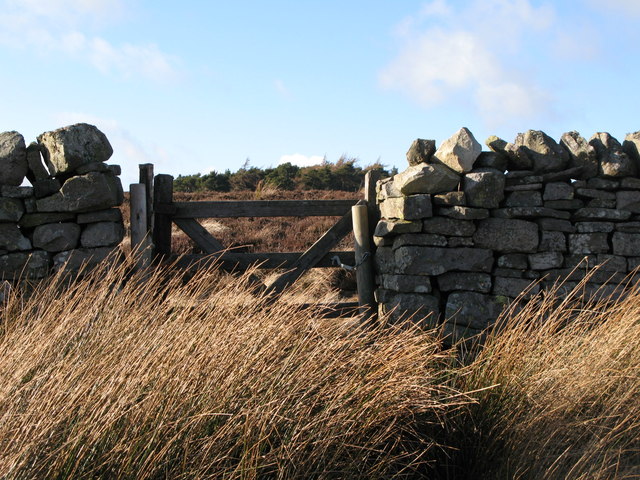 Gate in the wall and the plantation on Green Hill