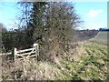 Netherthorpe Flash Nature Reserve