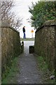 Ginnel From Peanock Farm