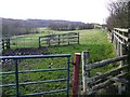 Sheep pens at Balance Meadows