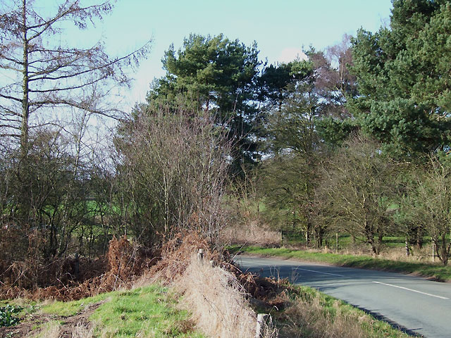 Lane by Enville Golf Course, Staffordshire