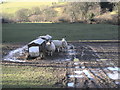 Sheep taking a little interest in the photographer