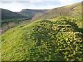 New Radnor Castle earthworks